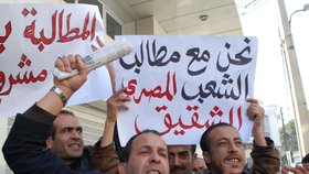 Desítky protestujících v ulicích Alžíru volaly po demokratických změnách jen pár hodin poté, co v Egyptě  padl prezident Husní Mubarak.