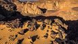 Lidé se často domnívají, že poušť je jenom písek a nuda. Opak je pravdou. Zde, na jihu Alžírska, je Sahara nekonečně pestrá a kromě písečných dun nabízí také hornatou část Hoggar (Ahaggár), kamenité a štěrkové úseky, hamady a regy.