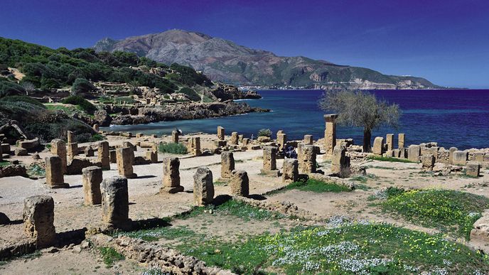 Hlavní předností Tipasy není zachovalost nebo zdobnost památek, nýbrž okouzlující umístění na břehu Středozemního moře