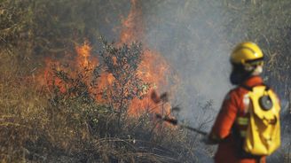 Amazonie v plamenech: Brazilská vláda čelí mezinárodnímu tlaku kvůli rozsáhlým požárům pralesů