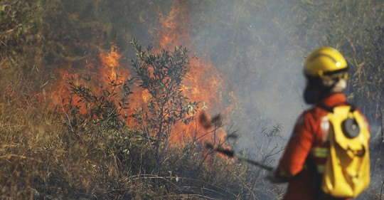 Amazonie v plamenech: Brazilská vláda čelí mezinárodnímu tlaku kvůli rozsáhlým požárům pralesů