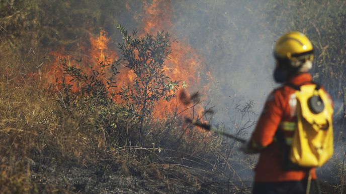 Rozsáhlé požáry v Amazonském deštném pralese. Rozsáhlé požáry v Amazonském deštném pralese.