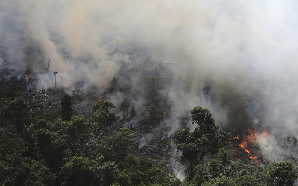 Rozsáhlé požáry v amazonském deštném pralese 