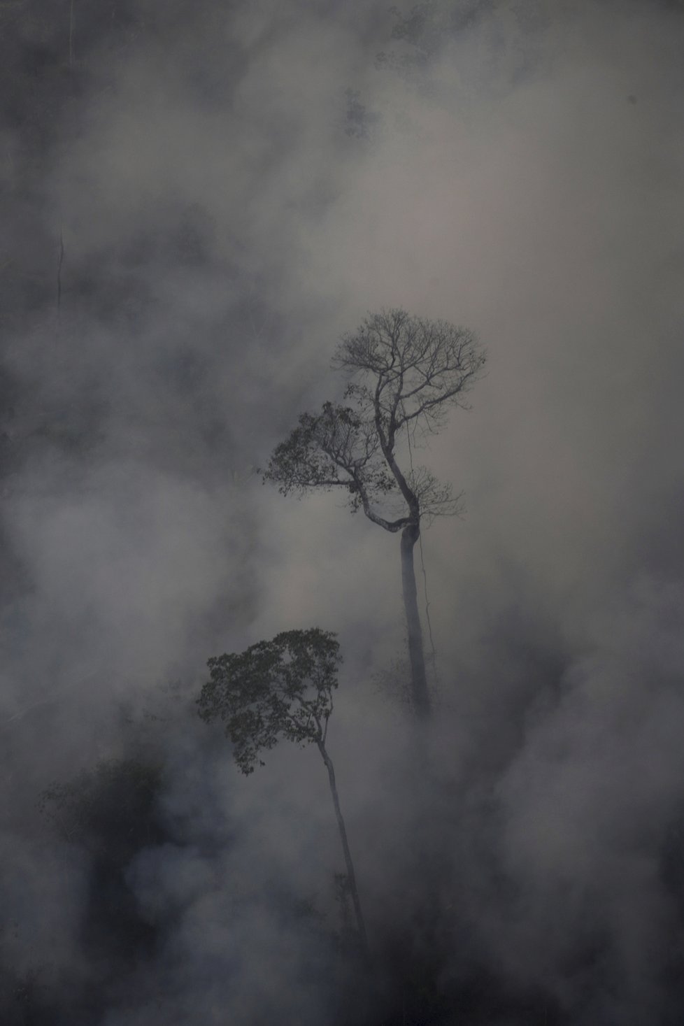 Rozsáhlé požáry v amazonském deštném pralese 