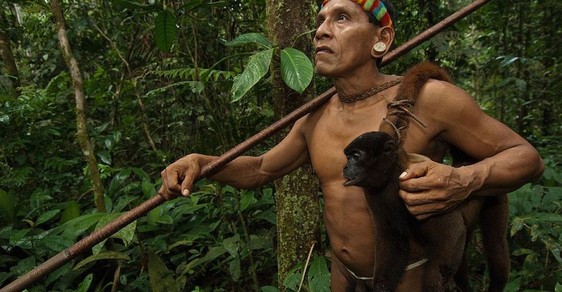 Evoluce v přímém přenosu? Amazonský kmen se mění kvůli lovu opic Evoluce v přímém přenosu? Amazonský kmen se mění kvůli lovu opic