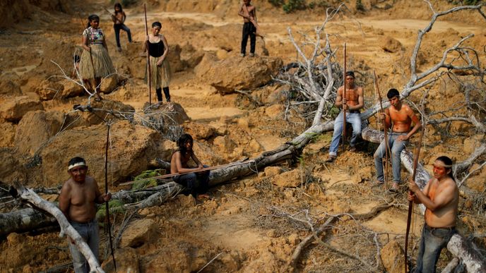 Nelegální odlesňování v Amazonii