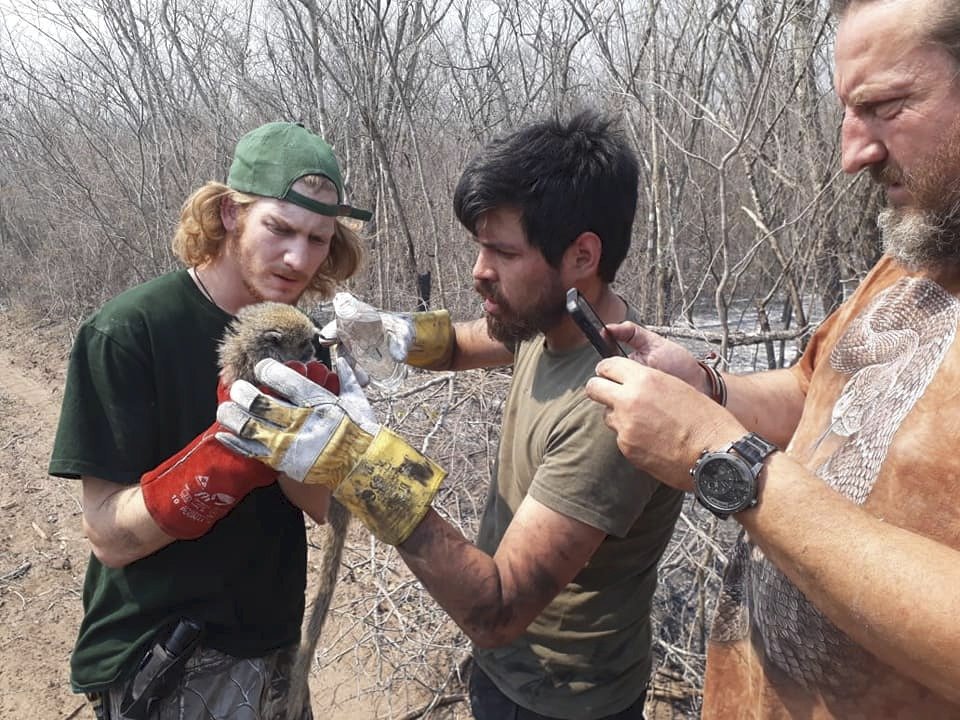Veterináři z Čech pomáhají v hořící Amazonii: Jen občas najdeme žijící zvířata.