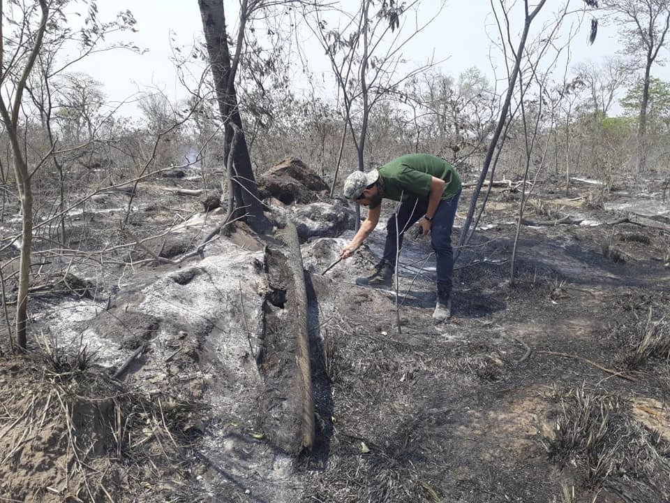 Veterináři z Čech pomáhají v hořící Amazonii: Jen občas najdeme žijící zvířata.