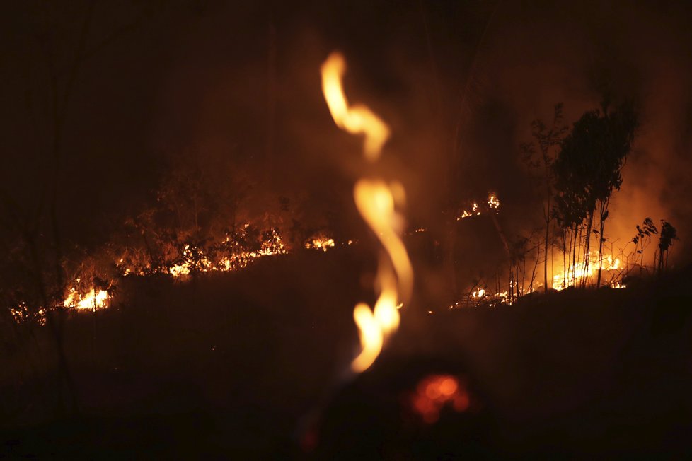 Rozsáhlé požáry v amazonském deštném pralese 