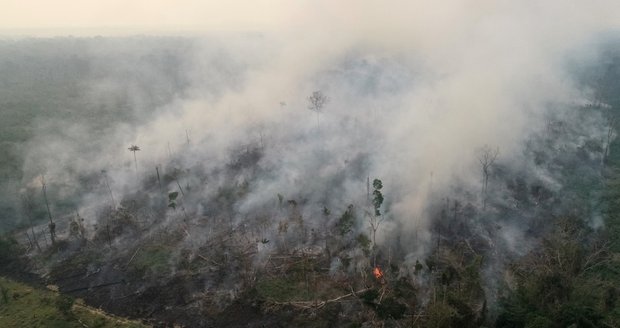 Za požáry v Amazonii jsou farmáři: Jak zachránit plíce planety? Jezte méně hovězího