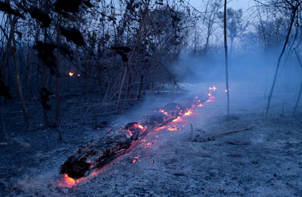 Zkáza Amazonie zdaleka nekončí.