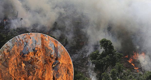 Nemocné „plíce planety“: Amazonský prales mizí, letošní požáry budou horší než ty loňské