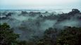 Deštné lesy v Tambopatě - po ránu se nad nimi vznášejí oblaka páry, ta se ale brzo rozptýlí.