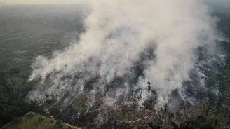 Požáry mění amazonský prales na pastviny. Finsko navrhuje zákaz dovozu brazilského hovězího do EU