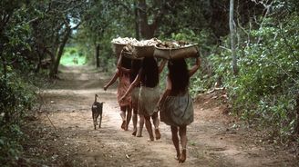 Krkolomná expedice do nitra Amazonie aneb Pobyt mezi indiány z povodí Xingú