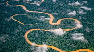 Devět měsíců v amazonském pralese