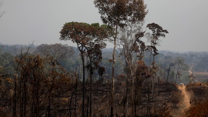 Požáry v Amazonii