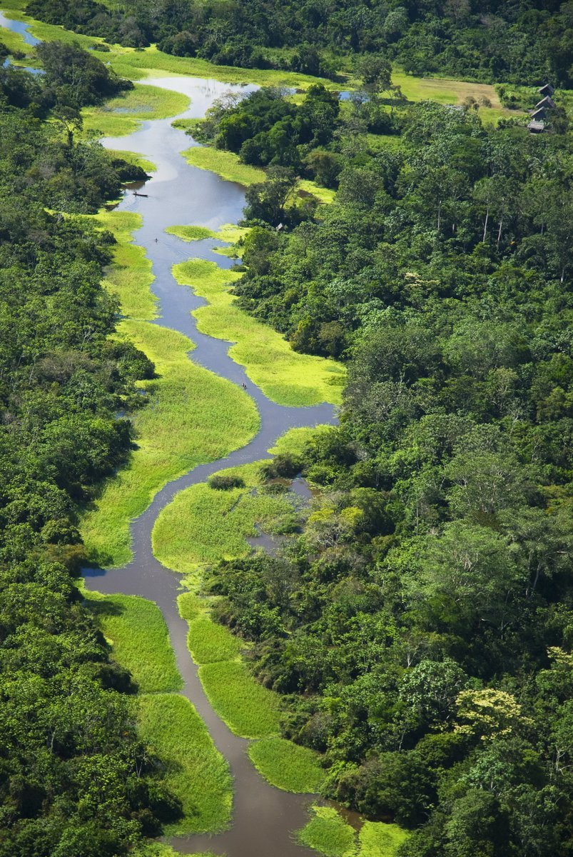 1 - Amazonský deštný prales: Tato oblast v Jižní Americe, rozkládající se v povodí řeky Amazonky, představuje polovinu deštných pralesů na Zemi. Co se týče rostlin a živočichů, patří k nejrozmanitějším oblastem na světě.