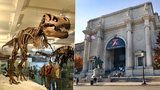 Dinosauři, meteority i drahokamy: Americké přírodovědné muzeum je tak velké, že jeden den nestačí