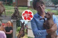 Naháči z chovatelské stanice za 35 000 Kč. Jeden nevyrostl, druhému se lámou kosti. Po chovatelce už jdou úřady