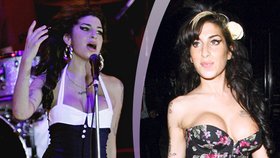 Zpěvačka Amy Winehouse (†27): Vydělává i rok po své smrti