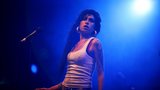 Amy Winehouse vykradli dům, když byla na dovolené