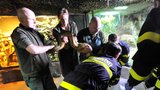 Velké hadí stěhování v brněnské zoo: Parta hasičů přenášela tři anakondy do nové expozice