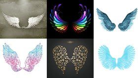 Test osobnosti: Která křídla si vyberete? Prozradí, jaké vlastnosti máte od andělů