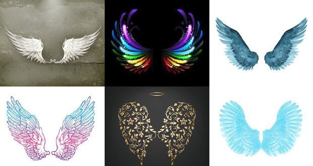 Která křídla jsou vašemu srdci nejblíž?