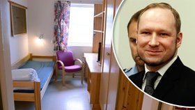 Teroristu Breivika čeká ve vězení příjemné pohodlí.