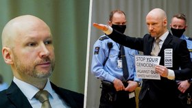 Breivik je prý stále nebezpečný, mohl by se prý znovu dopustit násilí nebo inspirovat druhé.