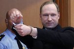 Breivik strávil u počítače téměř rok čistého času