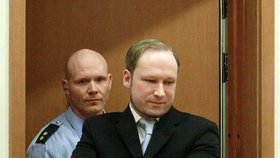 Jediné co Breivikovi kazilo u soudu radost byly želízka. Jinak se tvářil velmi spokojeně.