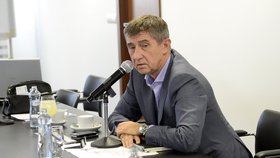 Andrej Babiš si dnes podepsal vlastní výpověď z Agrofertu