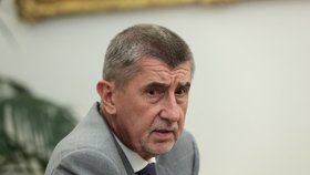 Předseda hnutí ANO Andrej Babiš