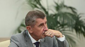 „Dar vrátíme. Musíme zjistit, jak se ten pán do hnutí vetřel. Projednáme to na výboru hnutí,“ napsal k Horáčkově sponzoringu Babiš.