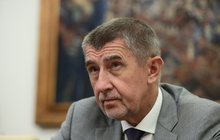Deník Aha! radí Andreji Babišovi a všem příštím českým premiérům: Tohle je ideální ministr!