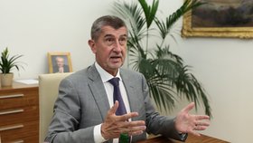 Premiér Andrej Babiš nemá podle mluvčího hnutí ANO s Agrofertem nic společného.