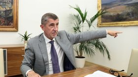 Předseda hnutí ANO a premiér v demisi Andrej Babiš v rozhovoru pro Blesk