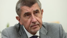Předseda hnutí ANO a premiér v demisi Andrej Babiš v rozhovoru pro Blesk