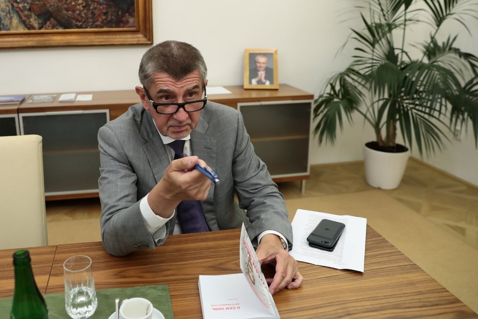 Premiér a předseda hnutí ANO Andrej Babiš