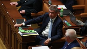 Andrej Babiš hájil ve Sněmovně kauzu Čapí hnízdo.