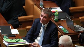 Andrej Babiš hájil ve sněmovně kauzu Čapí hnízdo.
