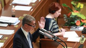 Andrej Babiš hájil ve Sněmovně kauzu Čapí hnízdo.