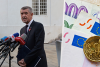 Nová vláda vs. evropská měna: Euro může Babišovi i pomoci, upozorňují experti