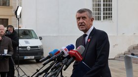 Andrej Babiš na Pražském hradě (12. 11. 2025).
