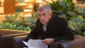 Babiš čeká na Karla Nawrockého v Hiltonu, 24.11.2025