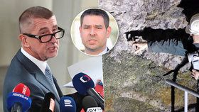 Babiš hrozí žalobou. Kradou lithium za bílého dne? 10 otázek v kauze českého pokladu