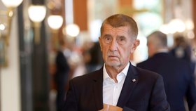 Premiér Andrej Babiš (ANO)