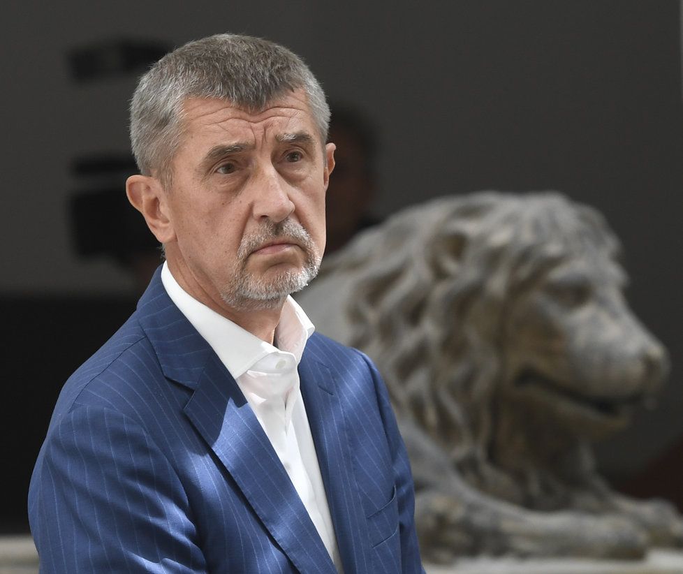 Předseda hnutí ANO Andrej Babiš